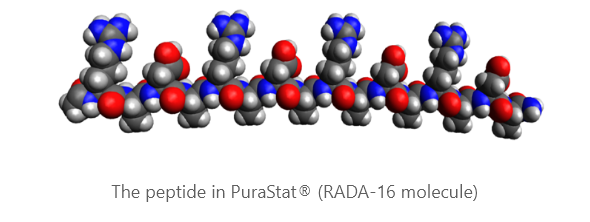 RADA-16 molecule